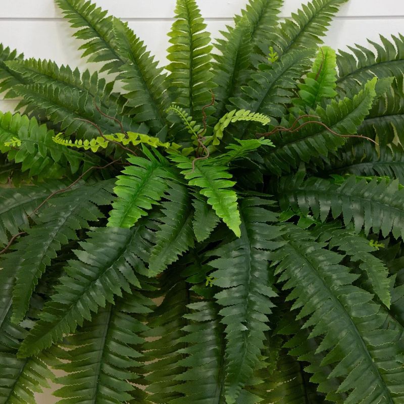 Mother's Day Gifts--Last Day 70% OFF--UV Resistant Lifelike Artificial Boston Fern