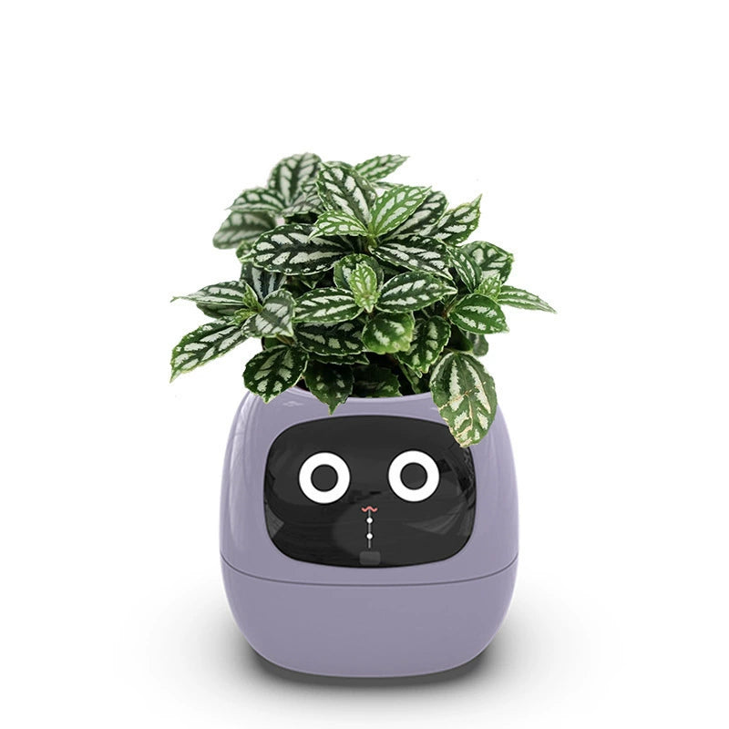 Last Day 40% OFF-lvy Smart Plant Pot