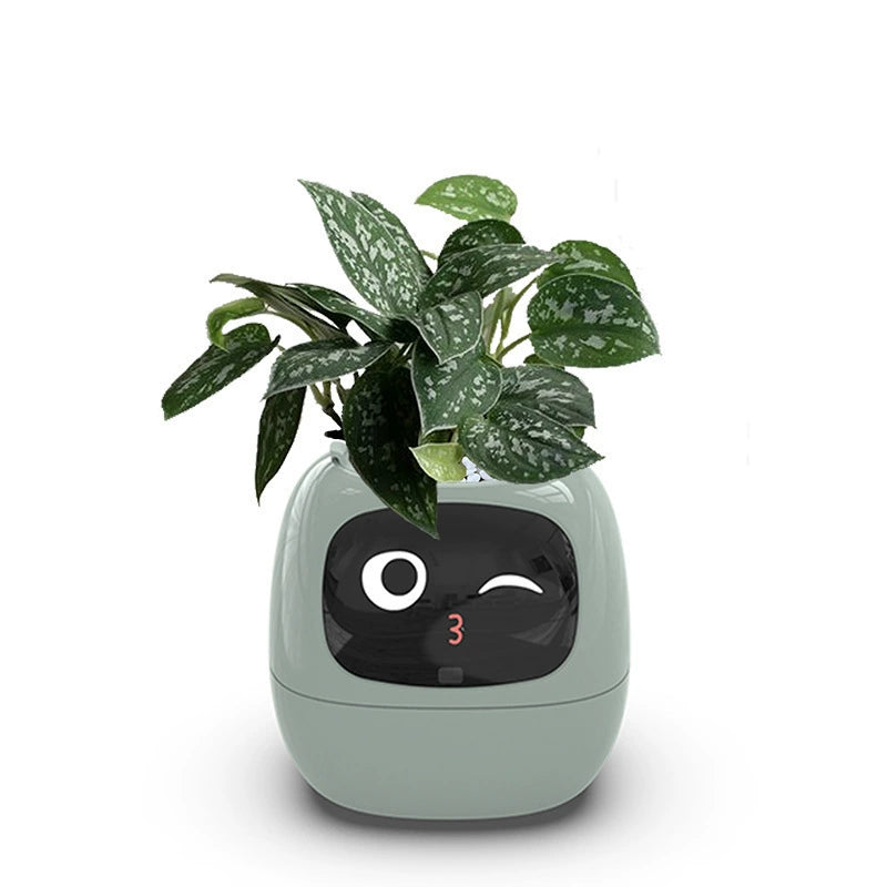 Last Day 40% OFF-lvy Smart Plant Pot
