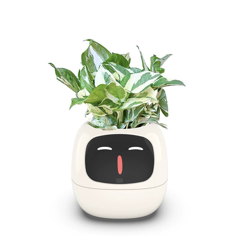 Last Day 40% OFF-lvy Smart Plant Pot