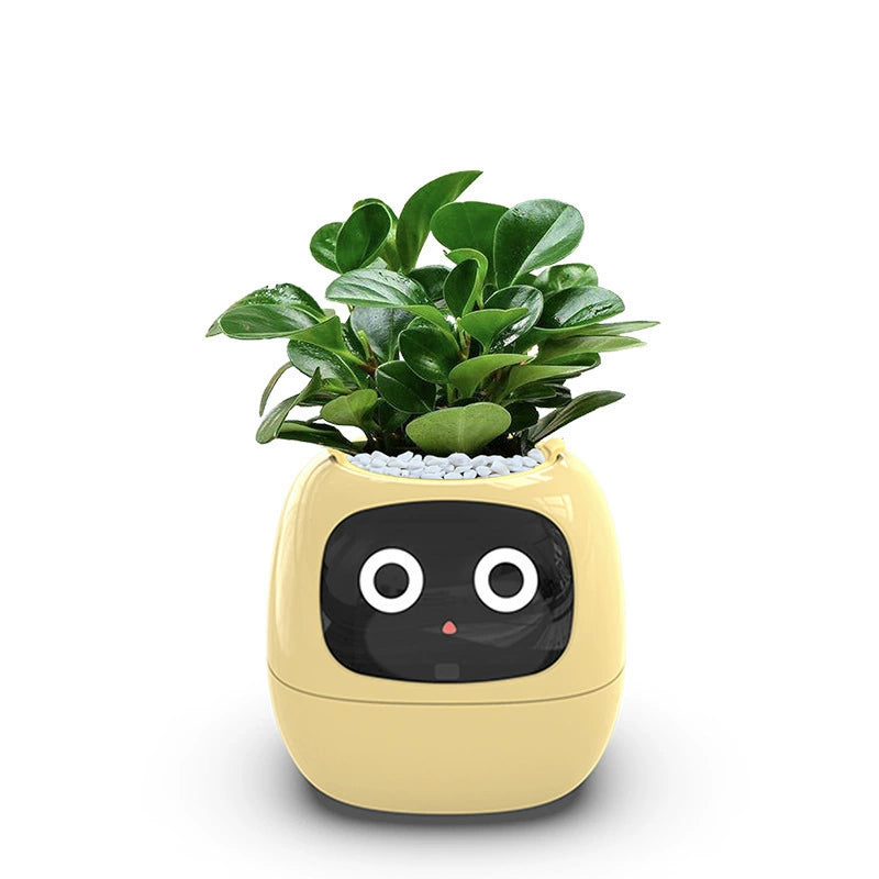 Last Day 40% OFF-lvy Smart Plant Pot