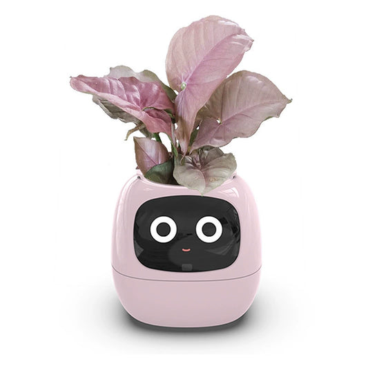 Last Day 40% OFF-lvy Smart Plant Pot